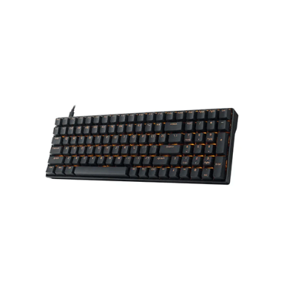 Rapoo V500DIY-100 Backlit Mechanical Gaming Keyboard