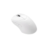 Rapoo VT9PRO Lightweight Dual Mode Wireless Gaming Mouse